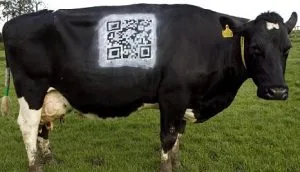 QR Codes in France