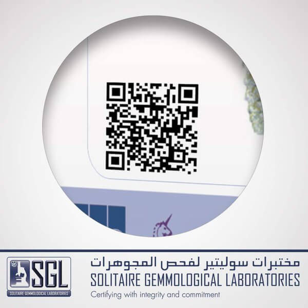 qr-codes-in-saudi-arabia-4-diverse-use-cases-that-map-qr-codes-popularity