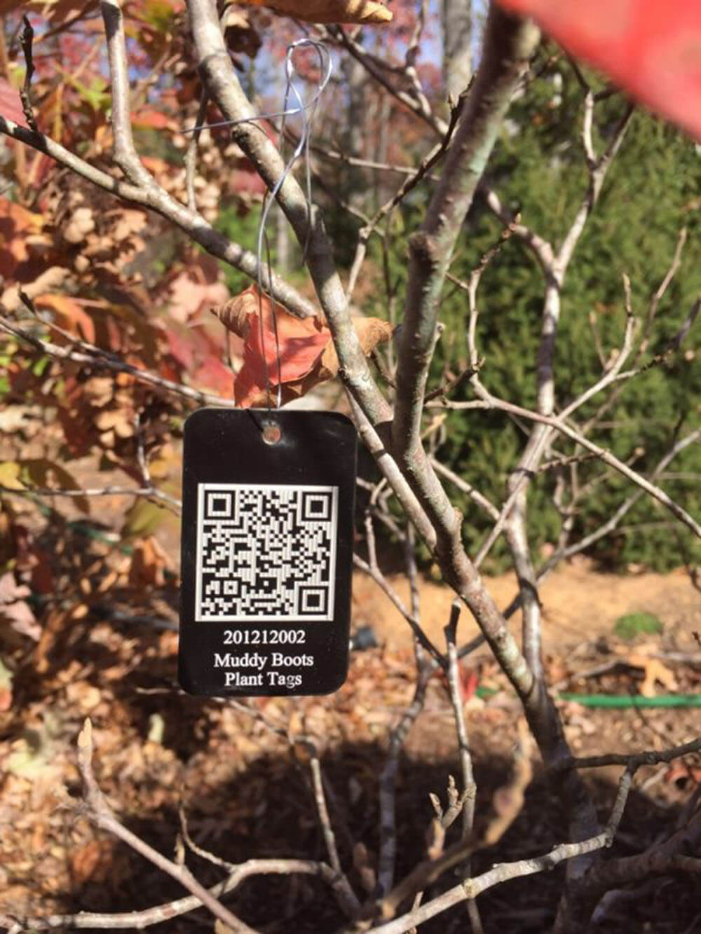 muddy boots plant tags