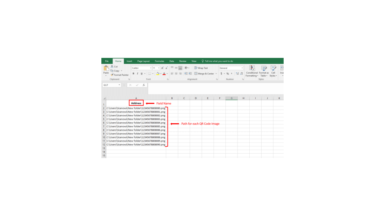 How to make QR Code Labels in MS Word Document on a Windows PC