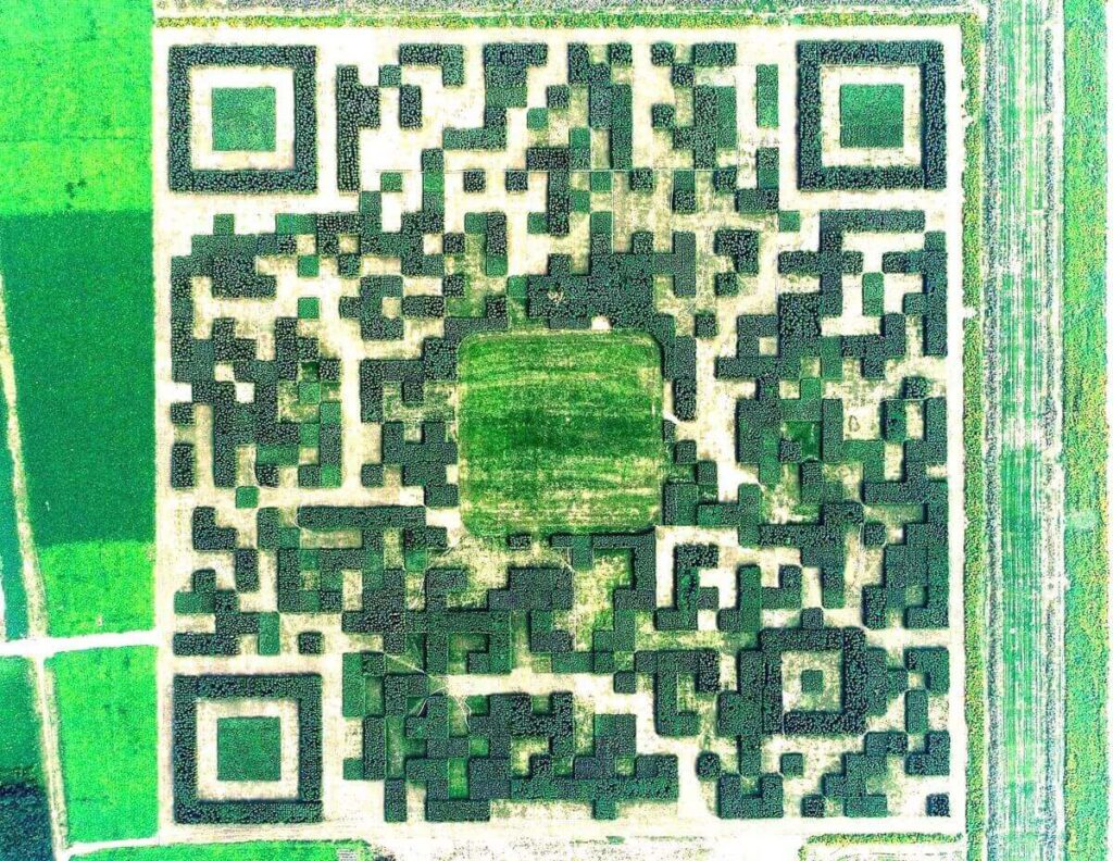 Human-QR Code Formation