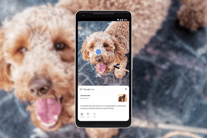 Google Lens scanning to provide more info