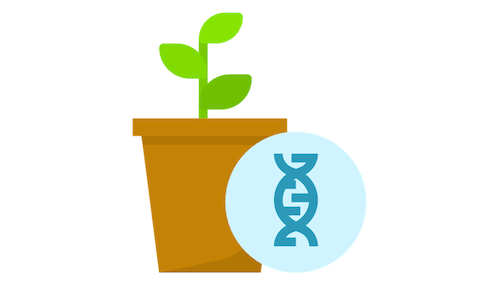 gmo qr code