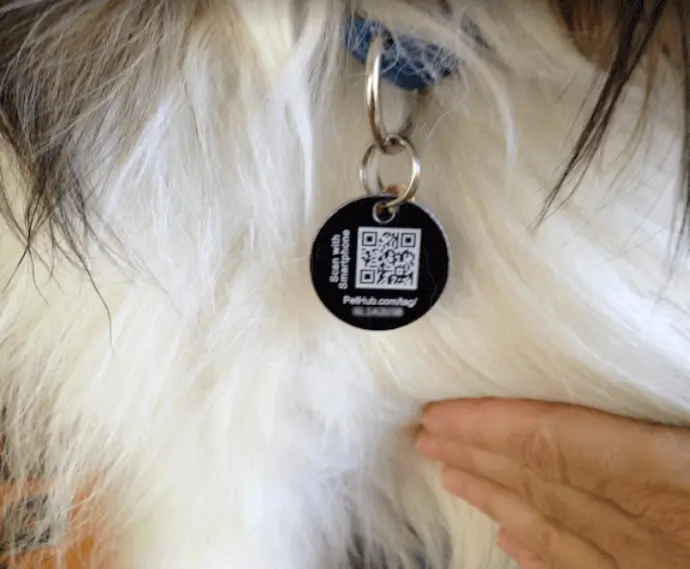 QR Code based pet tags