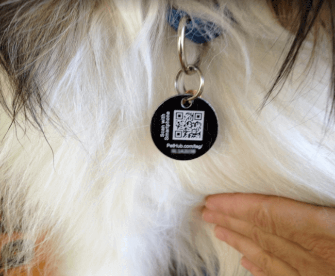 QR Code bizarre use cases: Pets