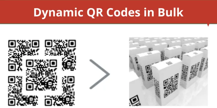 Dynamic QR Codes in Bulk